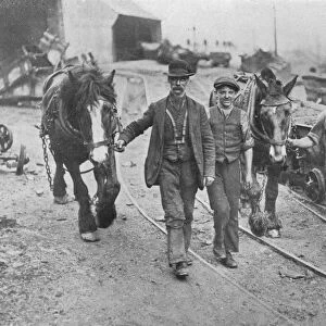 After the settlement: Miners taking their ponies back to the pit, 1915