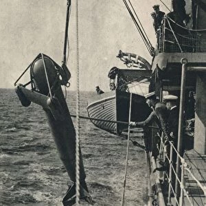 The shark-shaped paravane, 1943