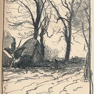 Study of Trees, Sompting, Sussex, c19th century. Artist: Frank Mura
