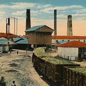 Sugar Mill, Cuba, c1910