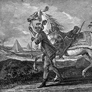 Turkish Arabian horse, 1722 (1938)