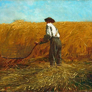 The Veteran in a New Field, 1865. Creator: Winslow Homer