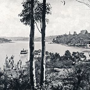 View on the Lane Cove River, c1900. Creator: Unknown