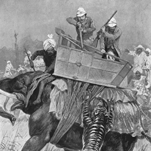 The Visit of the Prince of Wales to India, 1876: The Princes Elephant charged by a Tiger