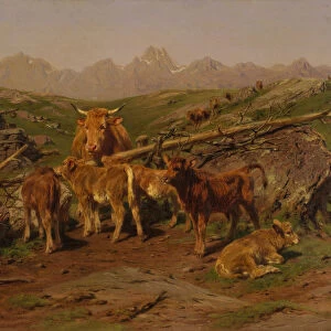 Weaning the Calves, 1879. Creator: Rosa Bonheur