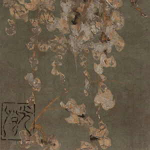 Wisteria blossoms, Edo period, early 17th century. Creator: Hon'ami Koetsu