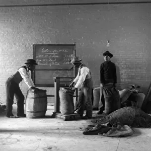 Four young men mixing fertilizers, Hampton Institute, Hampton, Va. 1899 or 1900. Creator: Frances Benjamin Johnston