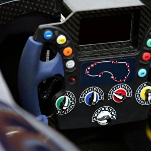 Formula One World Championship: Red Bull Racing RB1 steering wheel