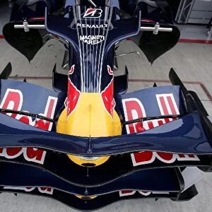 Formula One World Championship: Red Bull Racing front wing