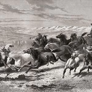 Argentinian Gauchos Rounding Up Wild Horses During The 19Th Century. From El Mundo En La Mano Published 1878