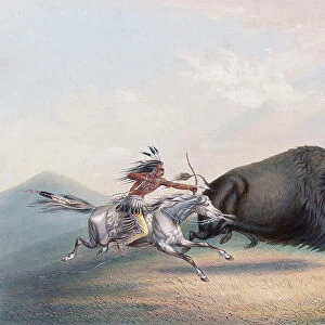Bison Buffalo Hunt Chase Plains Indian Indians