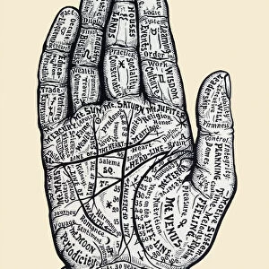 Diagram of right hand used for palm reading showing multitude of information amongst palmar flexion creases