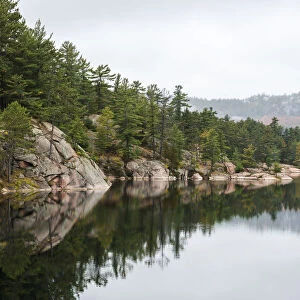 Green Coniferous Forest On A Tranquil Lake Shore With Red Rock Geological Formations; Killarney, Ontario, Canada
