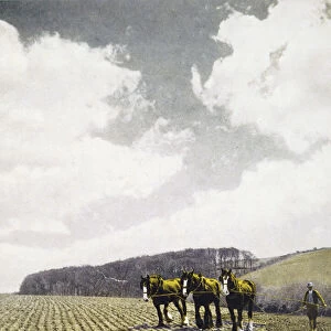 Hand tinted lithograph depicting a harrow being used to implement farmland, 19th century