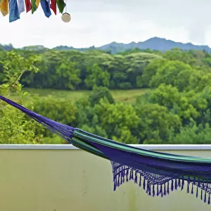 A hanging hammock with mountains and lush vegetation in the background; Wailua kauai hawaii united states of america