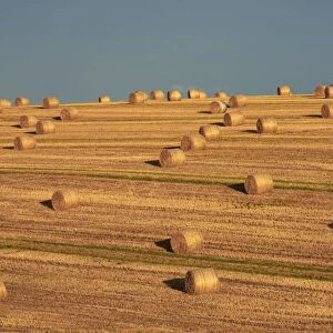 Hay Bales After Harvest, Mallow, County Cork, Ireland