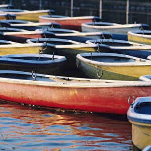Japan, Tokyo, Ueno Park, Colorful Row Boats Tied Together On Lake