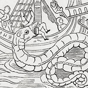 Man being eaten by a sea serpent. After a facsimile from Olaus Magnus: De Gentibus Septentrionalibus, 1555. From The Universe or, The Infinitely Great and the Infinitely Little, published 1882