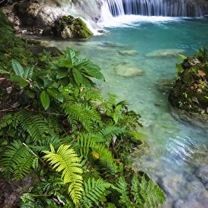 Mele Maat Waterfall; Efate Island, Vanuatu