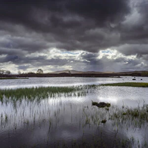 Moor landscape with lake and grassy patches and dark storm clouds at Rannoch Moor in Scotland, United Kingdom