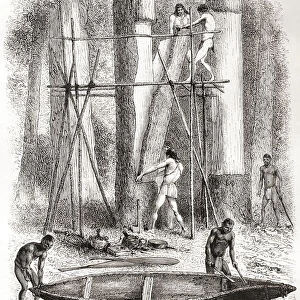 Native Indians Building A Canoe On The Banks Of The Oyapock Or Oiapoque River, South America, In The 19th Century. From Am