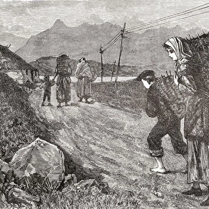 Natives Of Loch Maree, Wester Ross, Scotland, Gathering Peat In The Late 19Th Century. From Our Own Country Published 1898