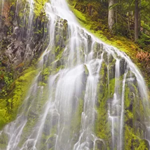 Proxy Falls In Willamette National Forest; Oregon, United States of America