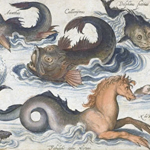 Seahorse and other imaginary sea creatures, after a 17th century engraving by Nicolaes de Bruyn. Later colourization