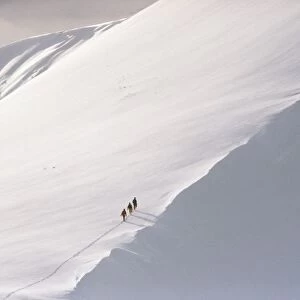 Trekking Up Snowy Mountain
