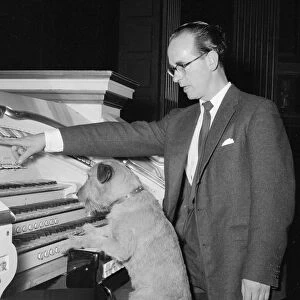 Barks organ concerto Sandy the dog seen here playing the organ while his master