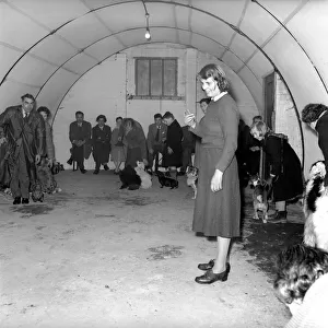 Dog trainer: Barbara: Woodhouse. April 1958 A677-003