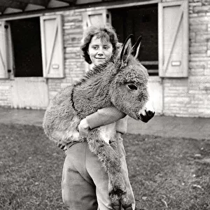 Donkey at Whipsnade Zoo Woman holding a donkey in her arms outside barns