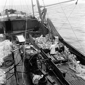 Hull trawler fishermen at work 15th June 1967