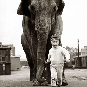 Little boy with huge elephant, circa 1950