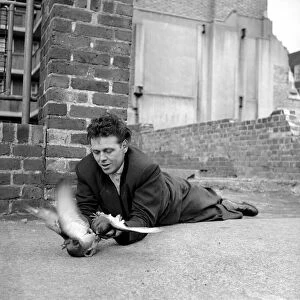 London pigeon catcher. January 1954 A157-007