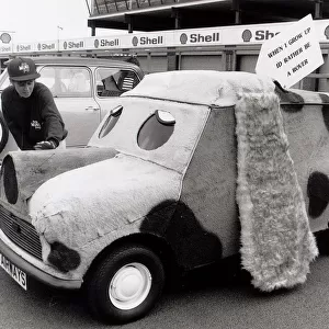Mini Car Anniversary. 25, 000 Minis turned up at Silverstone to celebrates 30 years