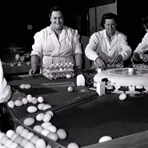 Sorting eggs on a grading machine are (left to right): Miss Muriel Collins
