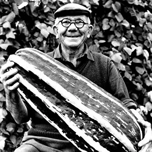 Tom Saunders with his Giant marrow Vegetables marrow