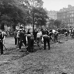 Trench digging in the London parks. A. P.s the busy scene in Kingston gardens today