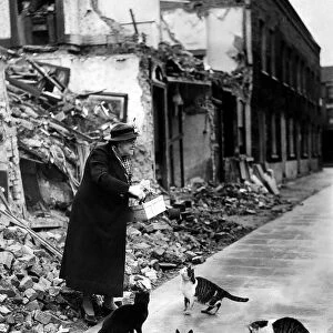 War Air raids Animals Cats October 1940 Mrs Caroline Roberts of Lindfield Street