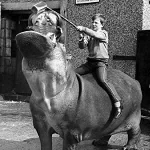 A young boy feeds a hippo a loaf of bread whilst riding on his back at Coventry Zoo