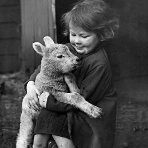 A young girl holding a little lamb in her arms at a farm. March 1946 P004208