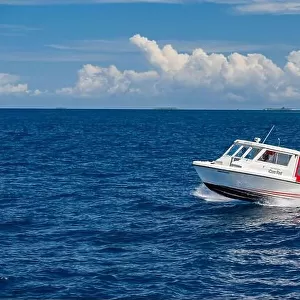 Ari Atoll, Maldives - December 17, 2015: Tourist speedboat fast cruising in the sea at Maldives, Indian Ocean. Speed boat docking to pick up tourists
