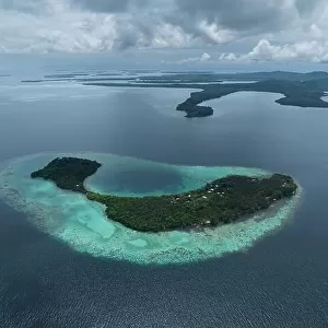 Lush, tropical islands are fringed by robust coral reefs in the Solomon Islands. This beautiful country is home to spectacular marine biodiversity