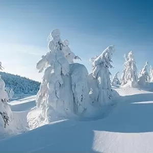 Panorama of fantastic winter landscape with snowy trees. Carpathian mountains, Ukraine, Europe. Christmas holiday concept