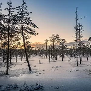 Scenic sunset with wetland at winter time in Finland