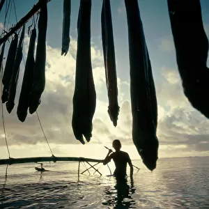 Fisherman at sunset, Oceania