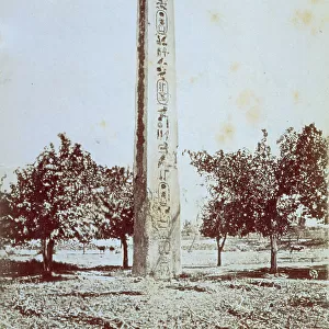 The Obelisk of Heliopolis in Cairo