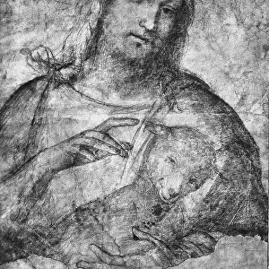 St John the Baptist, drawing by Andrea Solario in the Picture Gallery of Brera in Milan