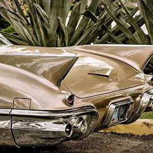 1950's Cadillac Eldorado, back fin & trunk